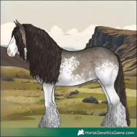 Horse Color:White Spotted Liver Red Dun 