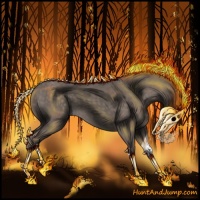 Horse Color:Silver Black 