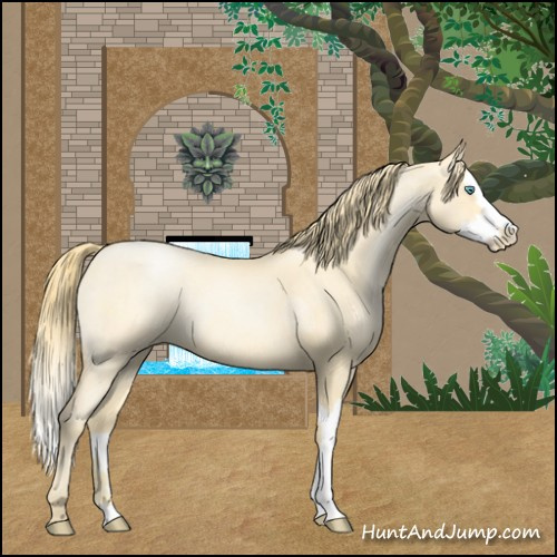 Horse Color:Buckskin Roan Pearl and Buckskin Roan Pearl Splash
