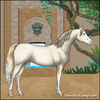 Horse Color:Buckskin Roan Pearl and Buckskin Roan Pearl Splash
