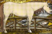 Horse Color:Plaid Amber Champagne Dun Appaloosa