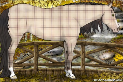 Horse Color:Plaid Sable Champagne Dun Sabino