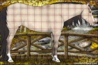 Horse Color:Plaid Sable Champagne Dun Sabino