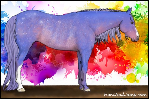 Horse Color:Watercolor Liver Chestnut Rabicano
