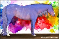 Horse Color:Watercolor Liver Chestnut Rabicano