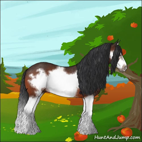 Horse Color:Bay Splash Frame Rabicano 