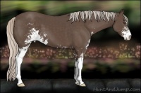 Horse Color:Silver Black Sabino 