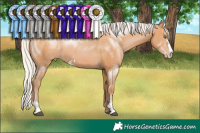 Horse Color:Silver Bay Pearl Sabino 