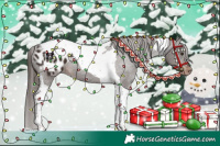 Horse Color:Liver Chestnut Tobiano Appaloosa 