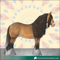 Horse Color:Buckskin Splash Frame Rabicano