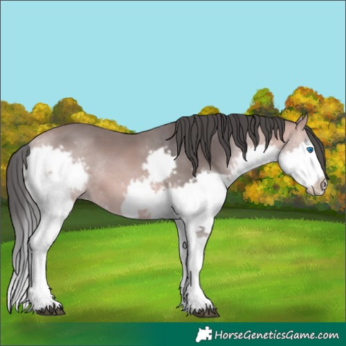 Horse Color:Platinum Bay Splash Frame Rabicano 