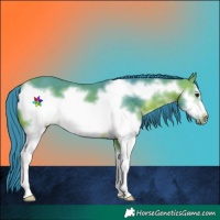 Horse Color:Watercolor Bay Sabino Frame 