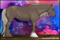 Horse Color:Silver Black 