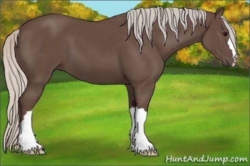 Horse Color:Silver Black 