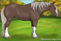 Horse Color:Silver Black 