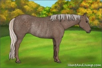 Horse Color:Silver Black Rabicano