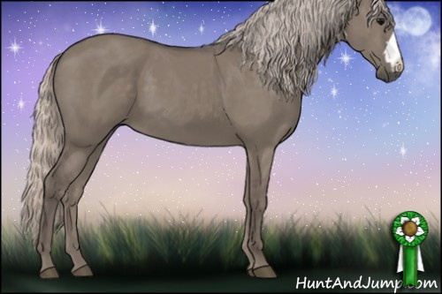Horse Color:Silver Grullo 