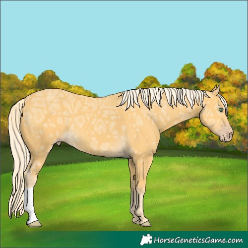 Horse Color:Gold Cream Champagne Ice 