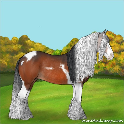Horse Color:Bay Splash Tobiano Rabicano 