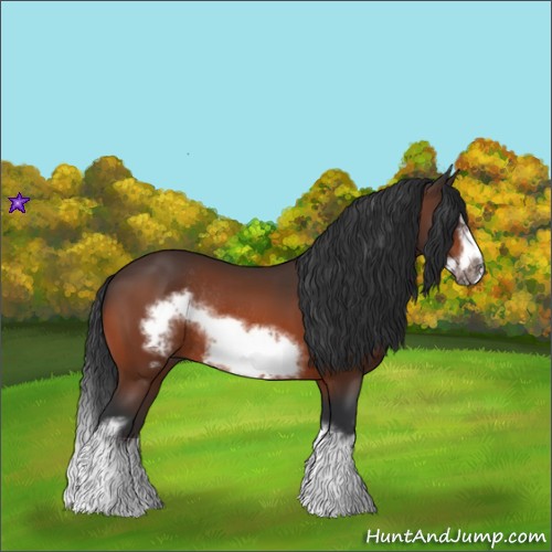 Horse Color:Bay Splash Frame Rabicano