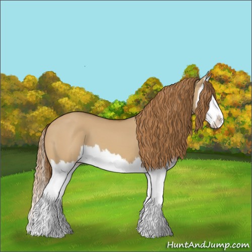 Horse Color:Red Dun Splash
