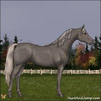 Horse Color:Silver Black 