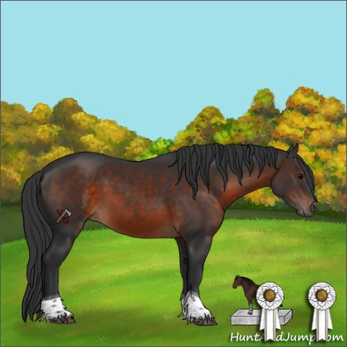 Horse Color:Brown Sabino Tobiano 