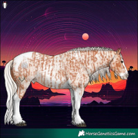 Horse Color:Silver Bay Roan Splash Tobiano  and Silver Amber Champagne Roan Splash Tobiano 