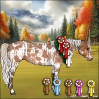 Horse Color:Silver Bay Roan Splash Tobiano and Silver Bay Roan Splash Tobiano Frame