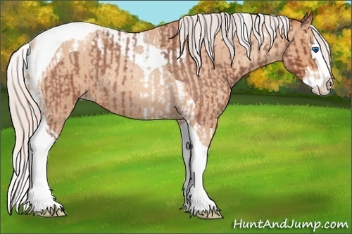Horse Color:Silver Bay Roan Splash Tobiano  and Silver Amber Champagne Roan Splash Tobiano 