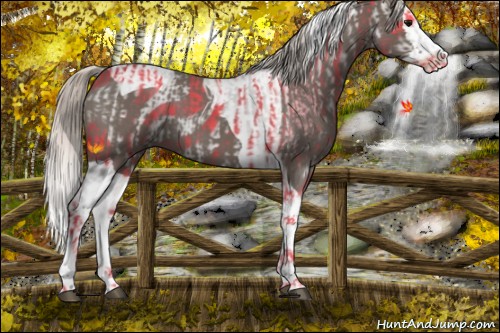 Horse Color:Silver Blue Roan Splash Tobiano  and Silver Blue Roan Splash Tobiano 