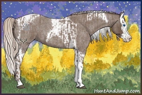 Horse Color:Silver Blue Roan Splash Tobiano  and Silver Blue Roan Splash Tobiano 
