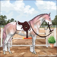 Horse Color:Watercolor Bay Splash Varnish Rabicano 