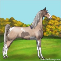 Horse Color:Silver Blue Roan Splash Tobiano  and Silver Classic Champagne Roan Splash Tobiano 