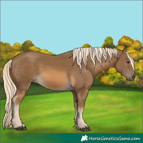 Horse Color:Chocolate Palomino 