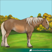 Horse Color:Chocolate Palomino