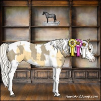 Horse Color:Silver Smoky Blue Roan Splash Tobiano  and Silver Buckskin Roan Splash Tobiano 