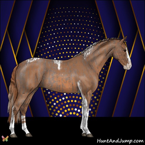Horse Color:Silver Blue Roan Splash Tobiano  and Red Roan Splash Tobiano 