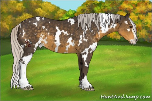 Horse Color:White Spotted Silver Smoky Black Sabino