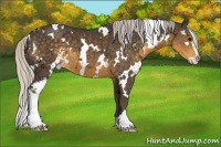 Horse Color:White Spotted Silver Smoky Black Sabino 