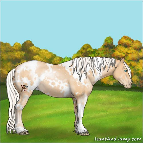 Horse Color:White Spotted Silver Smoky Black Pearl