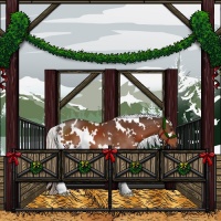 Horse Color:White Spotted Silver Brown