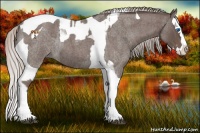 Horse Color:Silver Blue Roan Splash Tobiano  and Silver Blue Roan Splash Tobiano Rabicano 