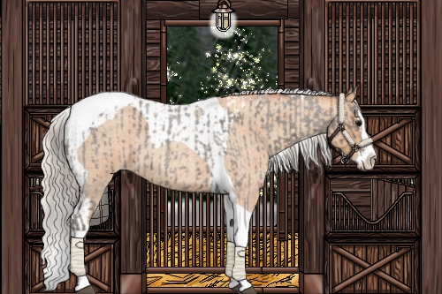 Horse Color:Silver Blue Roan Splash Tobiano  and Silver Classic Champagne Roan Splash Tobiano 