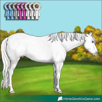 Horse Color:Silver Classic Champagne Splash Appaloosa 