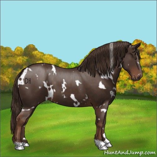 Horse Color:White Spotted Liver Chestnut 