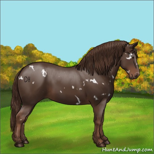 Horse Color:White Spotted Liver Chestnut 