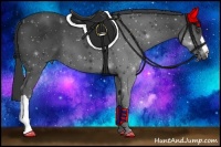 Horse Color:Smoky Black 