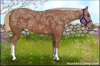 Horse Color:Chestnut Ice Tobiano 