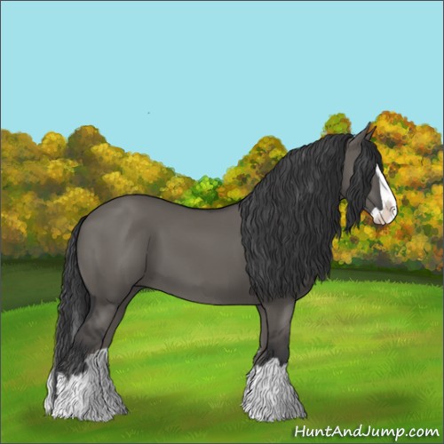 Horse Color:Grullo Splash 